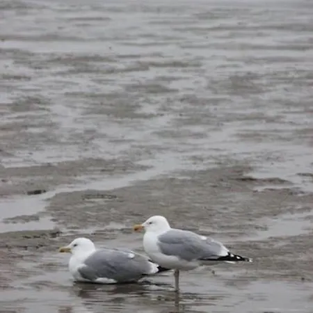 דירה Haus Nicole קושהאבן