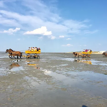 Haus Nicole דירה