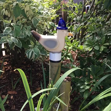 Haus Nicole Apartment *